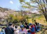 2025年　4月　花見